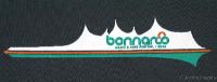 Bonnaroo Logo 